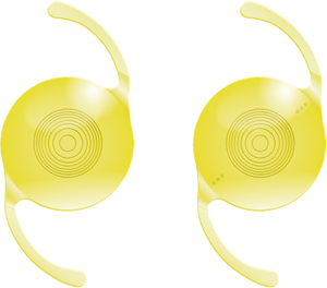 Vivinex Gemetric